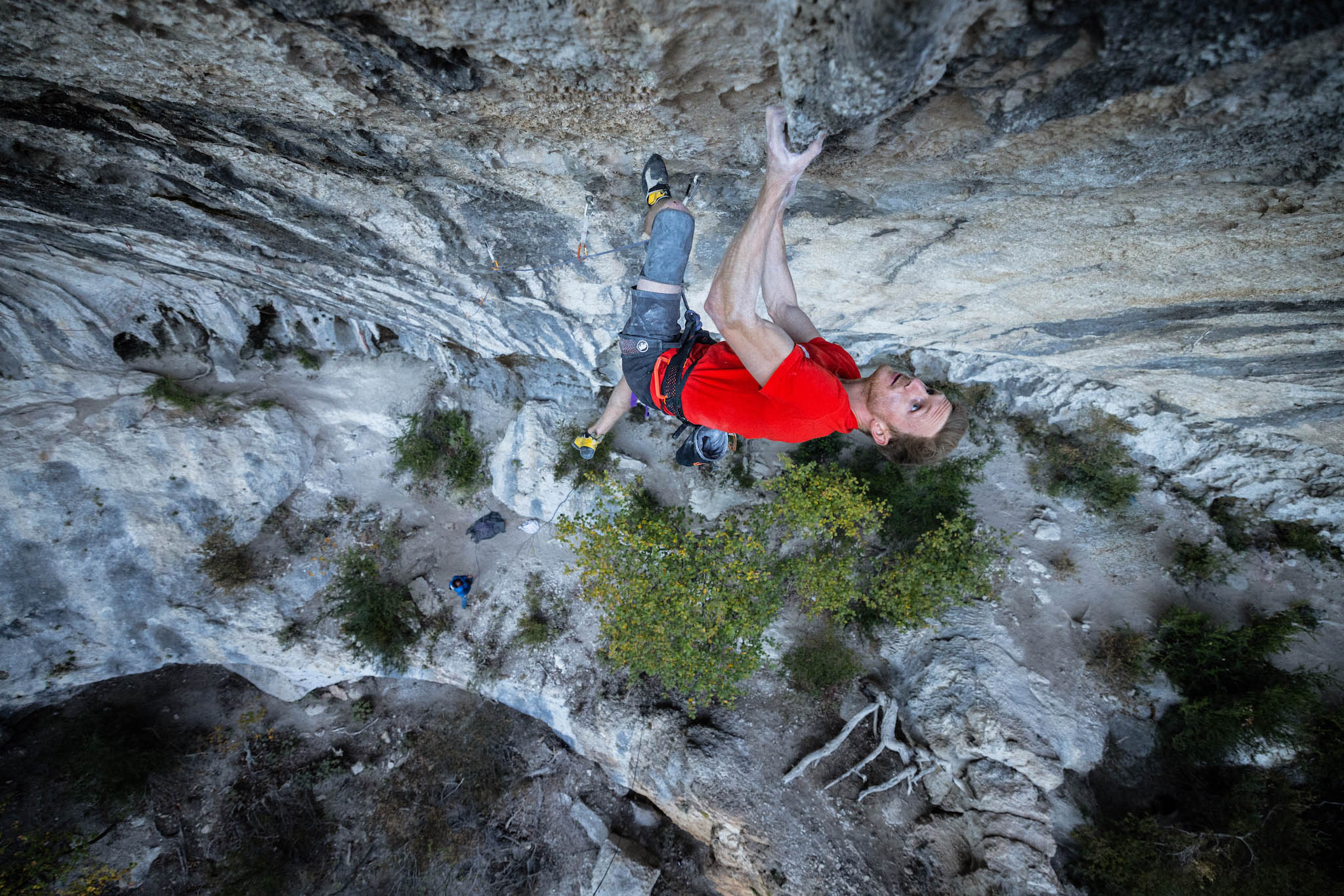 climbing DNA